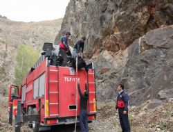 Oltu itfaiyesinde keçi alarmı